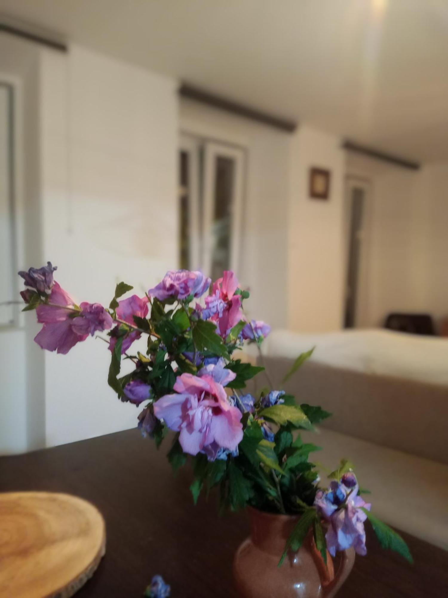 Casa Com Vista Sob A Cidade! Coimbra Dış mekan fotoğraf